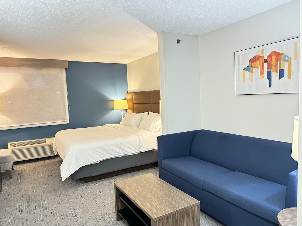 Suite, 1 King Bed - Photo 7