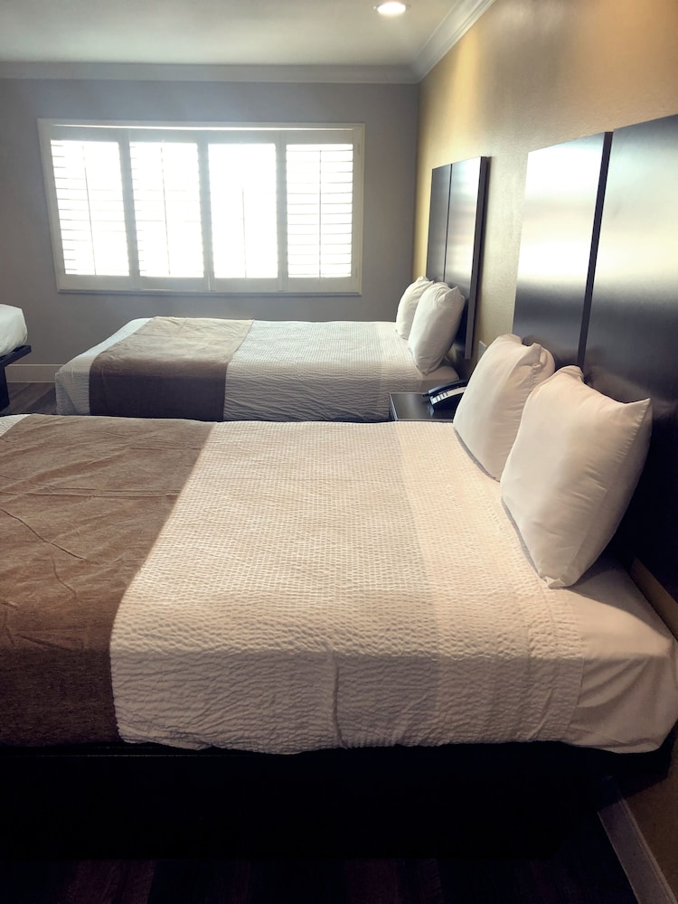 Room, Multiple Beds photo 2