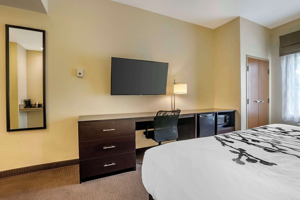 Suite, 1 King Bed, Non Smoking - Photo 5
