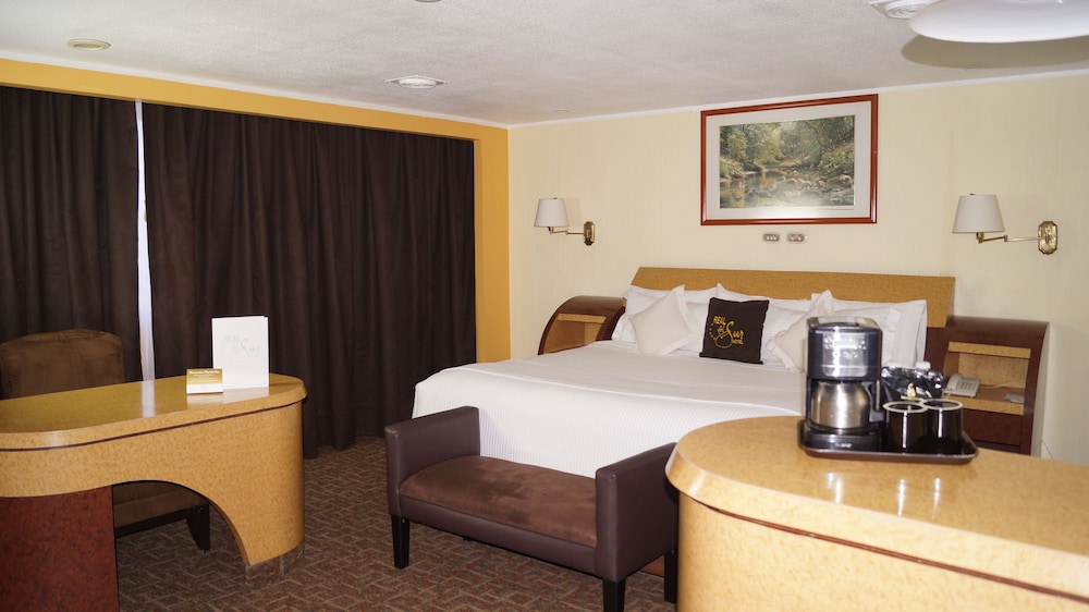 Junior Suite photo 1