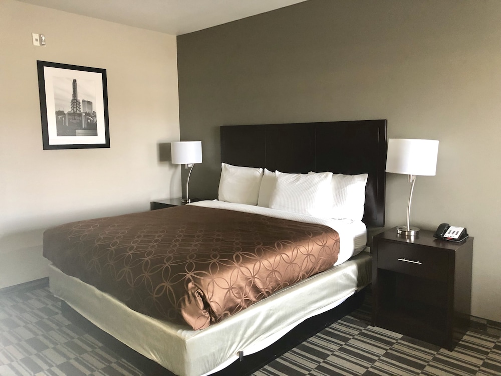 Deluxe Room, 1 King Bed photo 2
