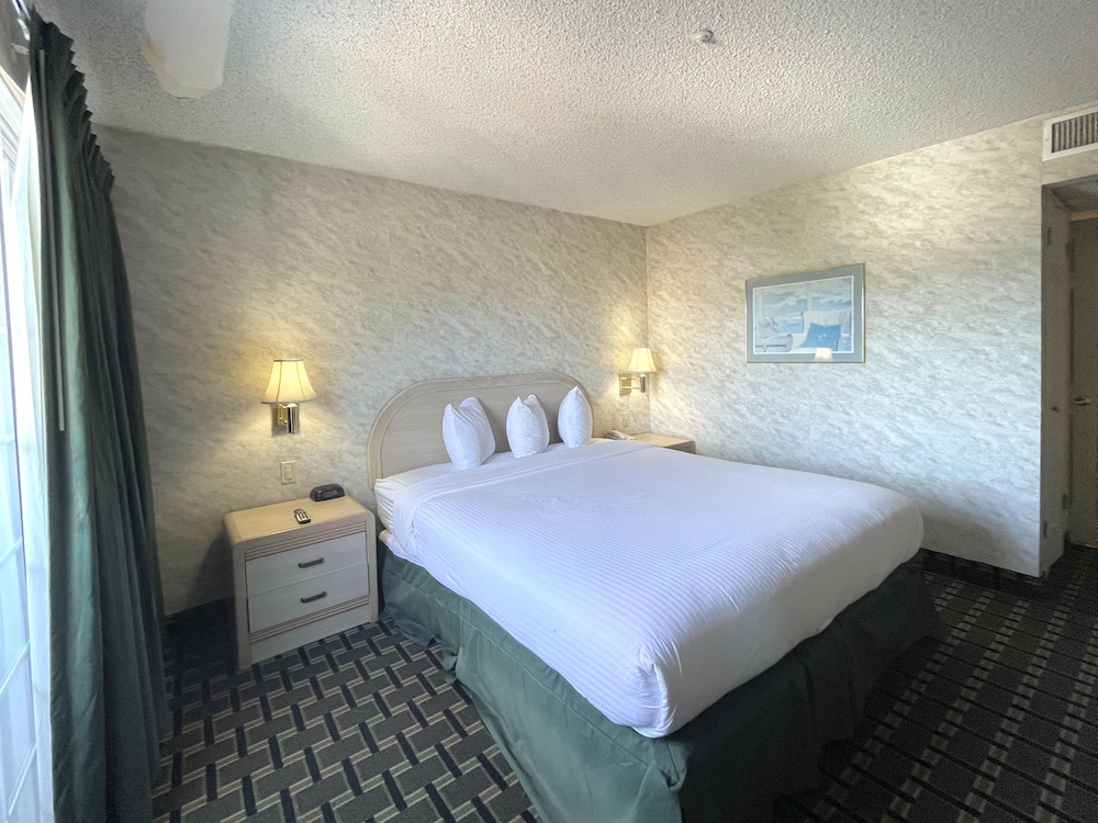 Suite, 1 King Bed photo 2