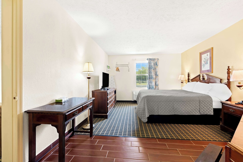 Suite, 1 King Bed photo 1