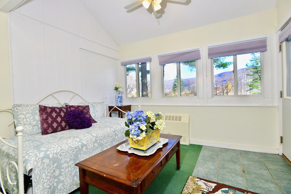 Villa King, Luxury Suite with Day Bed, Jacuzzi, dog friendly, resort views photo 2