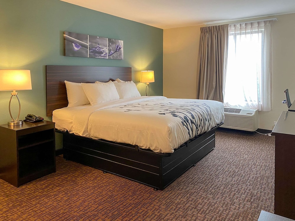 Standard Room, 1 King Bed, Non Smoking - Photo 1