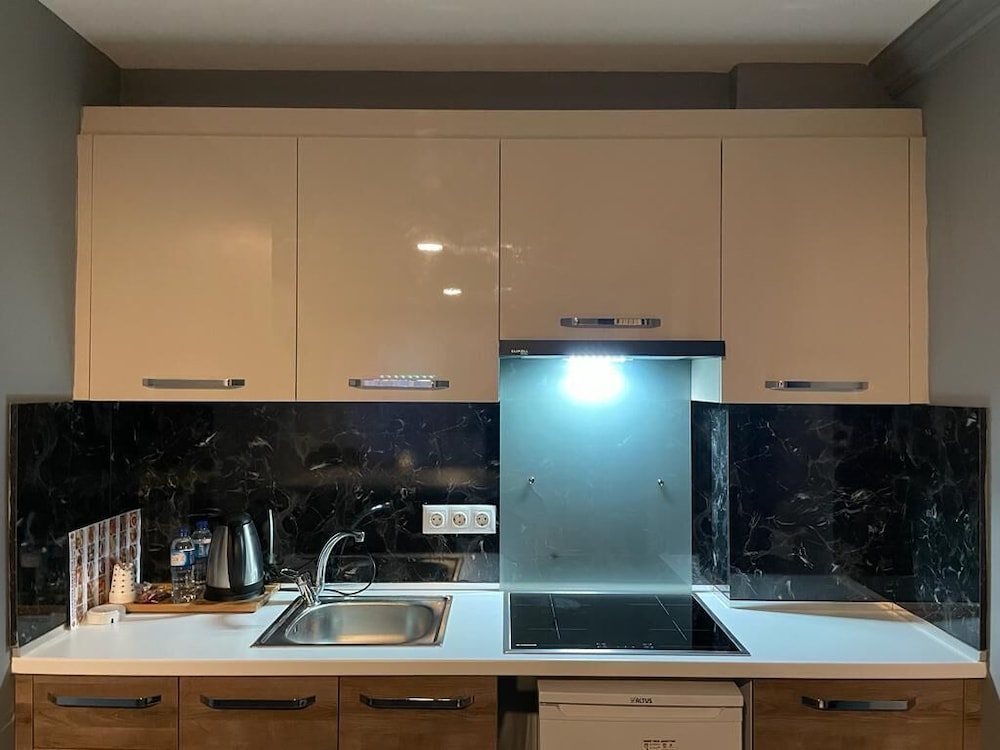 Luxury Condo, 1 Bedroom photo 3