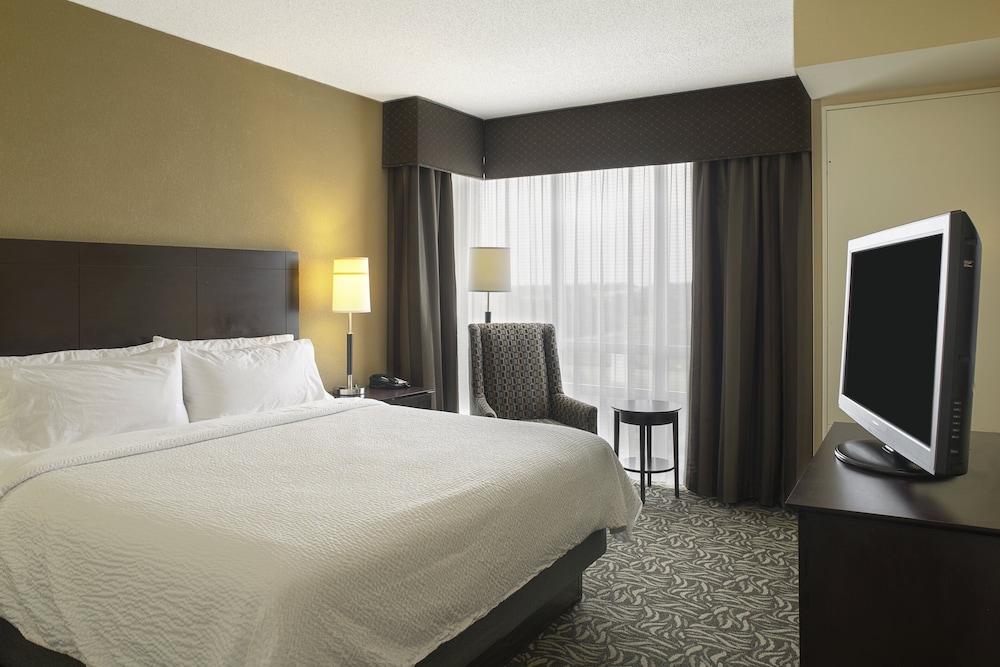 Suite, 1 King Bed - Photo 1
