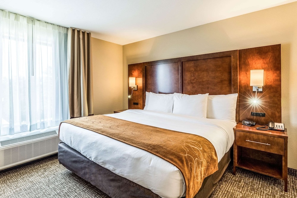 Suite, 1 King Bed with Sofa bed, Non Smoking (Upgraded)