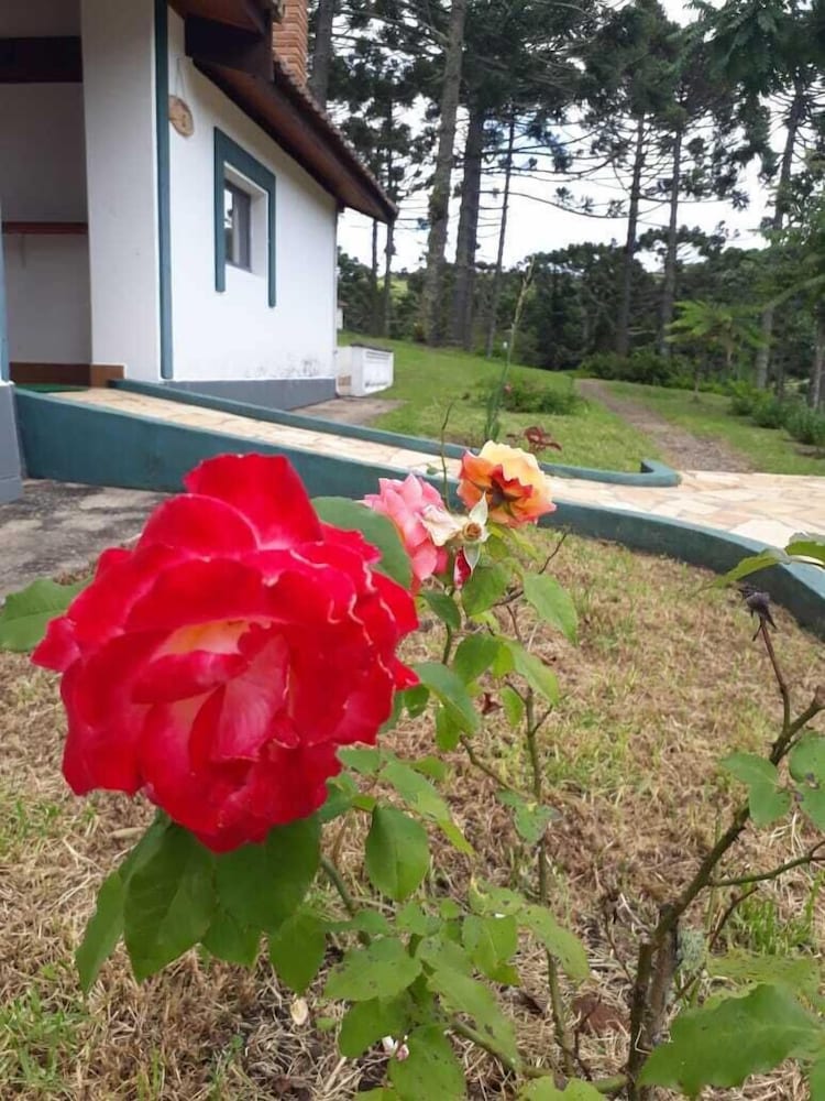 Standard Chalet, 1 Bedroom, Mountain View - Photo 2