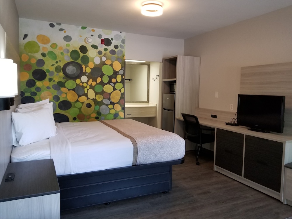 Suite, 1 King Bed with Sofa bed, Accessible, Non Smoking (Efficiency) - Photo 8