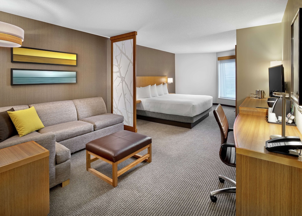 Room, 1 King Bed