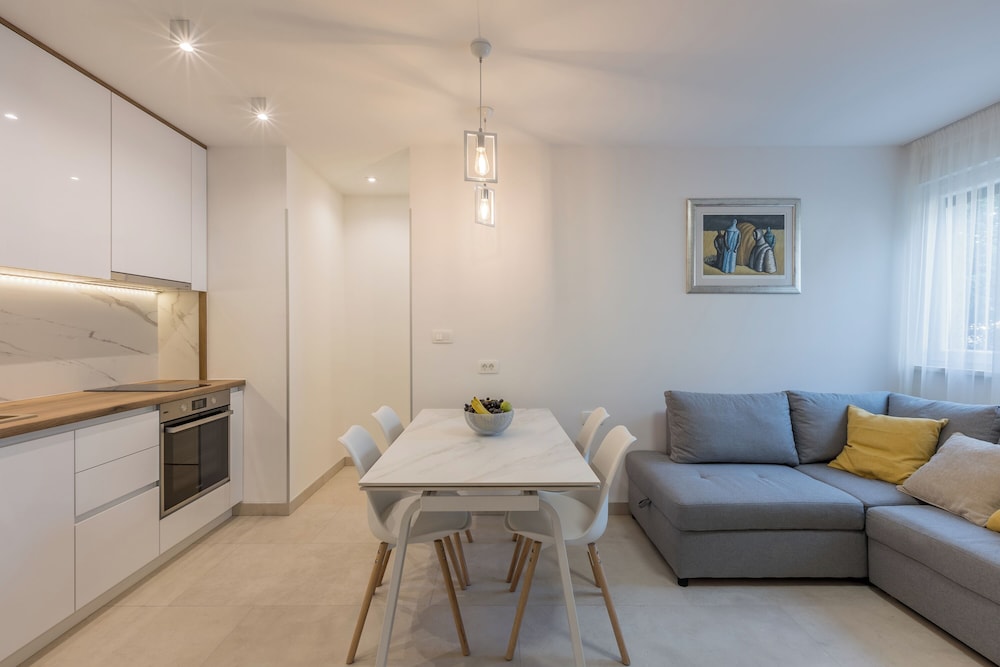 Luxury Apartment