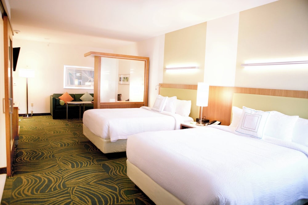Suite, Multiple Beds photo 2