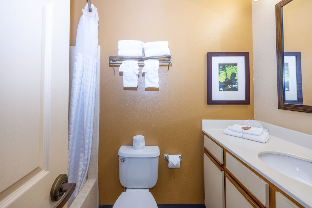 Deluxe Studio Suite, Multiple Beds, Non Smoking, Kitchen photo 2