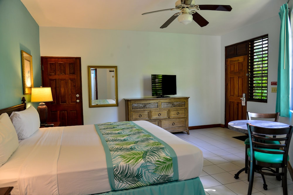Deluxe Room, 1 King Bed - Photo 2