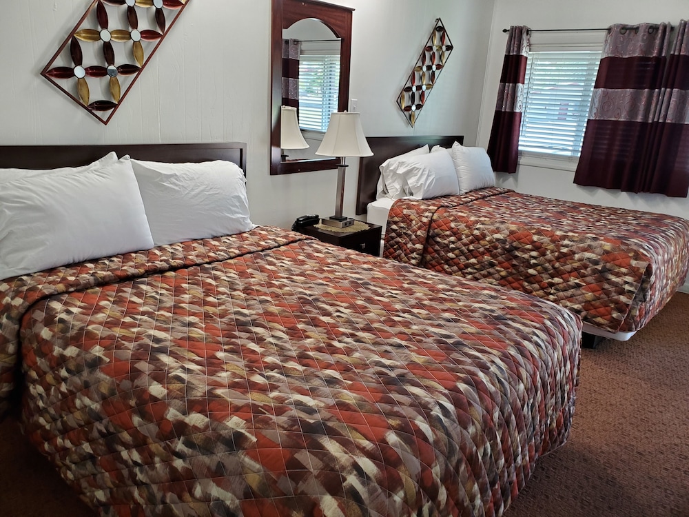 Twin Room photo 3