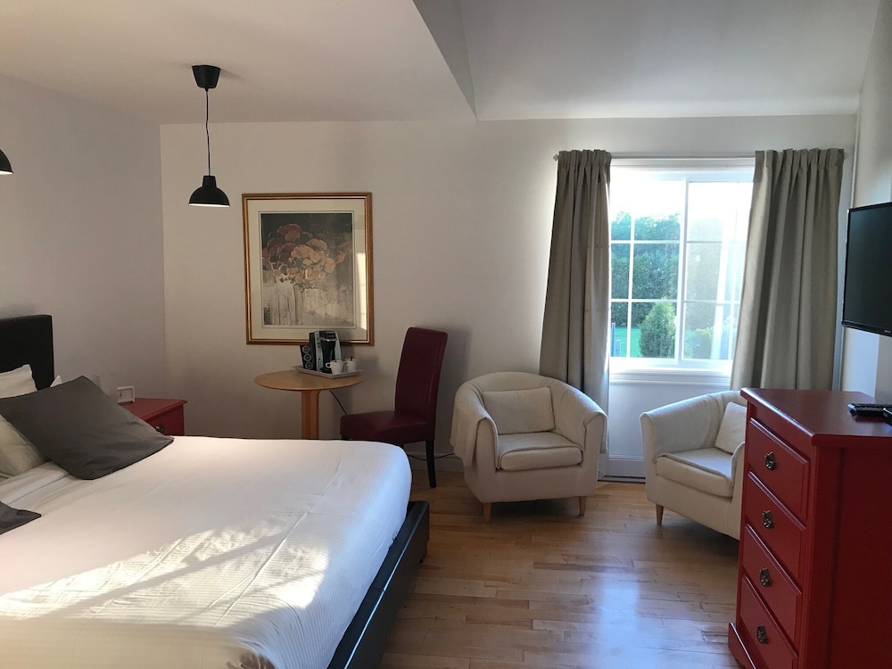 Room, 1 King Bed photo 3