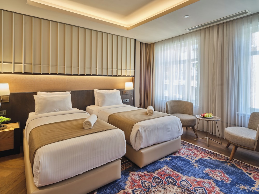 Superior Twin Room, City View photo 2