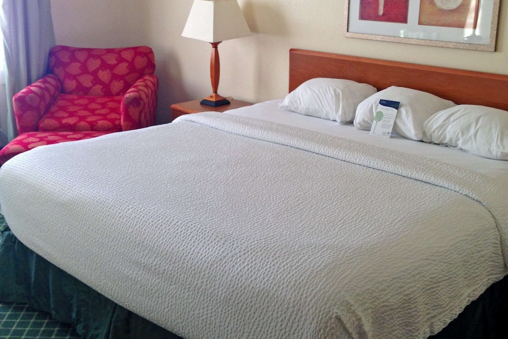 Deluxe Suite, 1 King Bed, Non Smoking, Refrigerator & Microwave photo 3