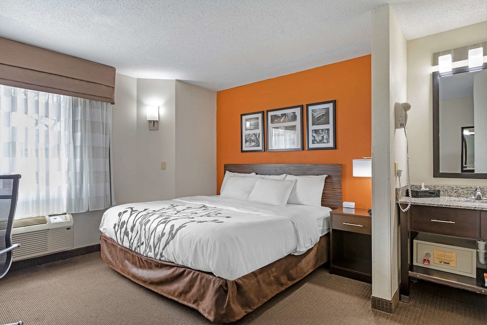 Standard Room, 1 King Bed, Non Smoking - Photo 1
