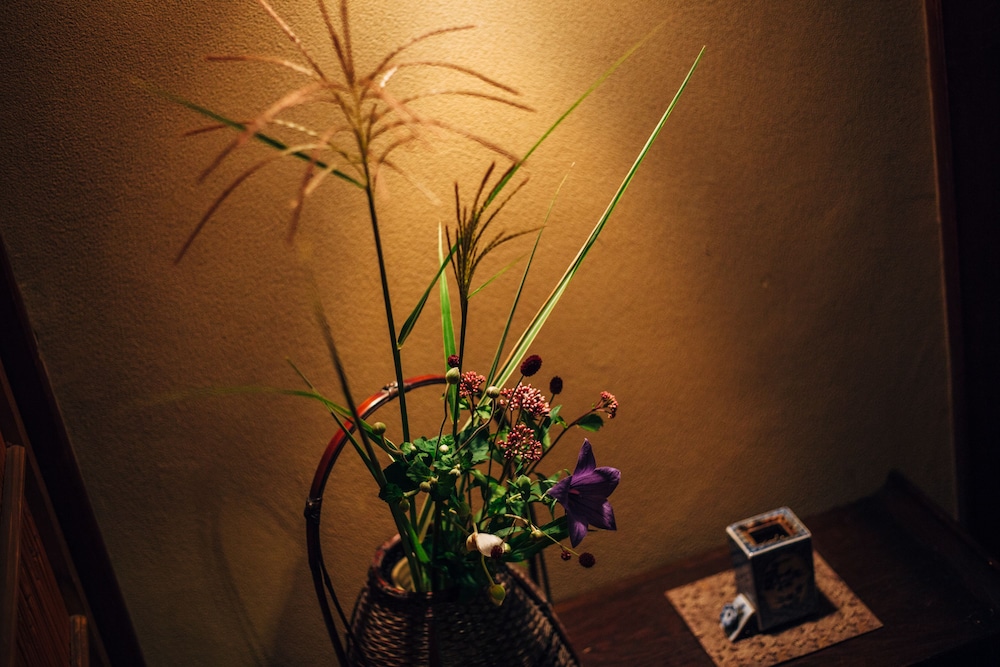 Run Of House (Room Selected At Check-In, Shared Bathroom) photo 2
