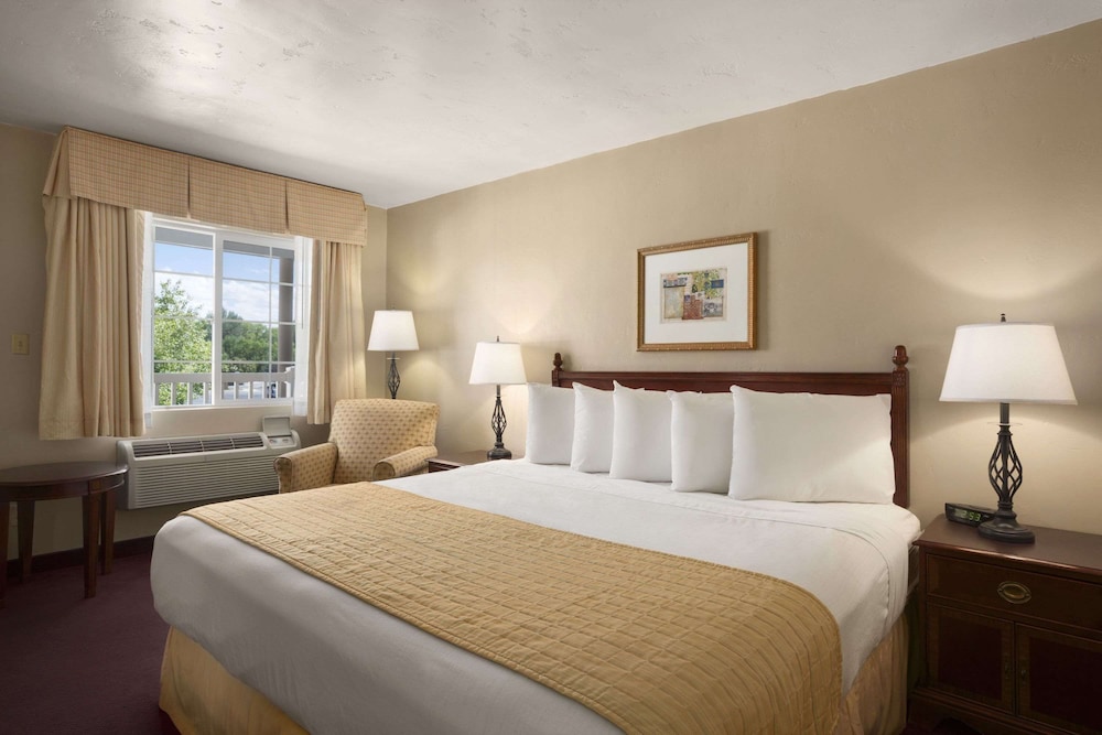 Suite, 1 Queen Bed photo 1