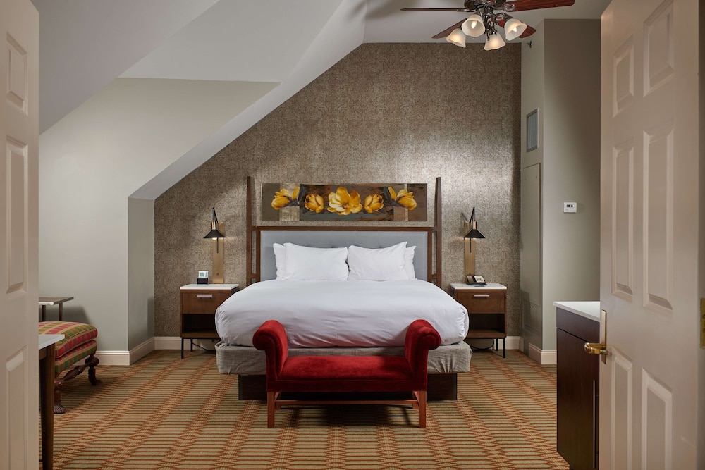 Suite, 1 Bedroom - Photo 1