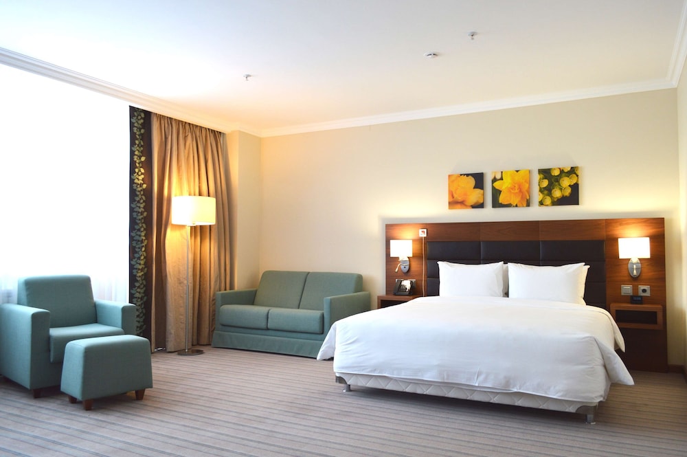 Room, 1 King Bed, Accessible photo 1