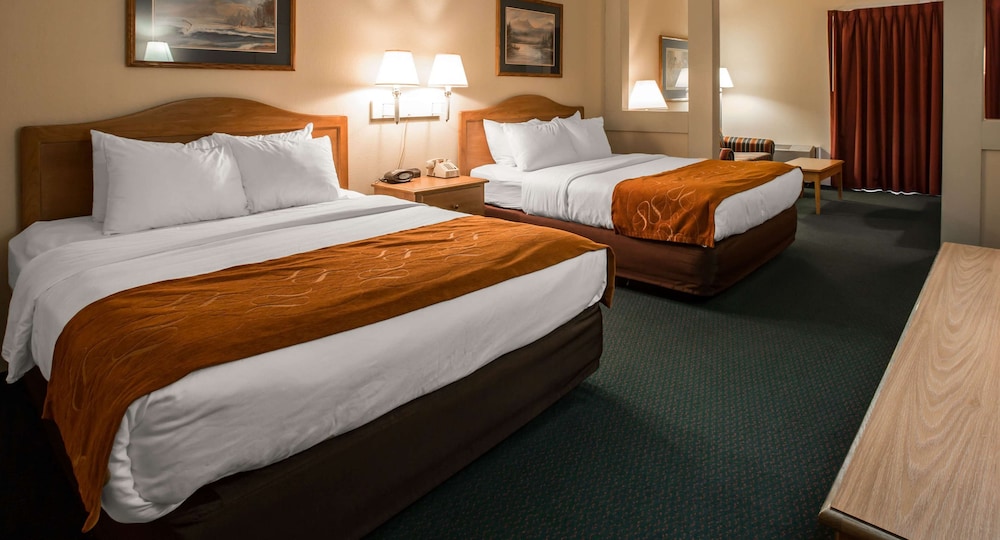 Deluxe Studio Suite, 2 Queen Beds, Non Smoking - Photo 1