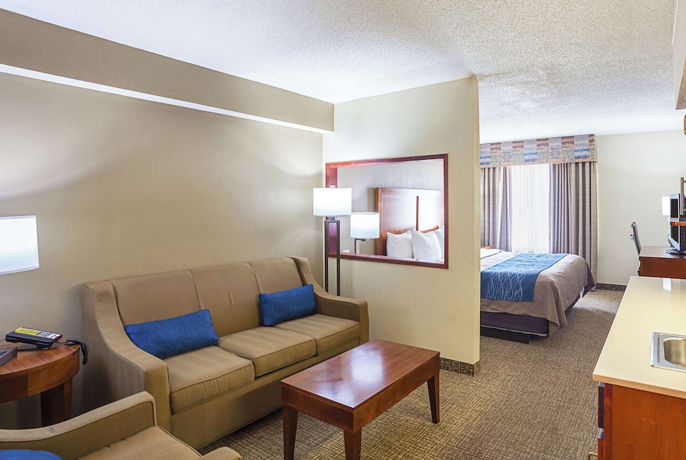 Suite, 1 King Bed with Sofa bed, Non Smoking photo 1