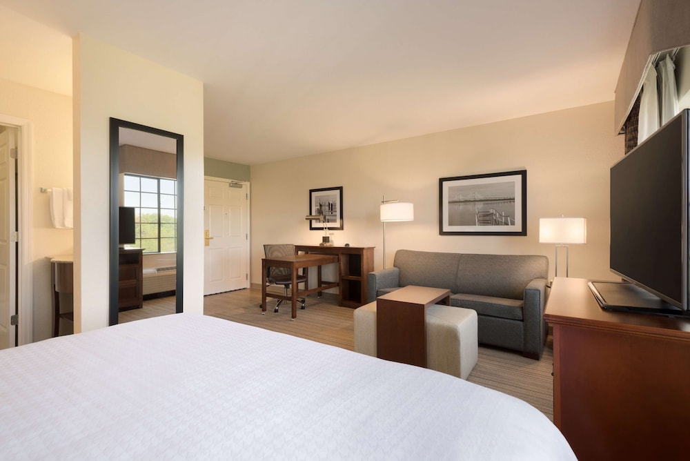 Studio Suite, 1 King Bed photo 2