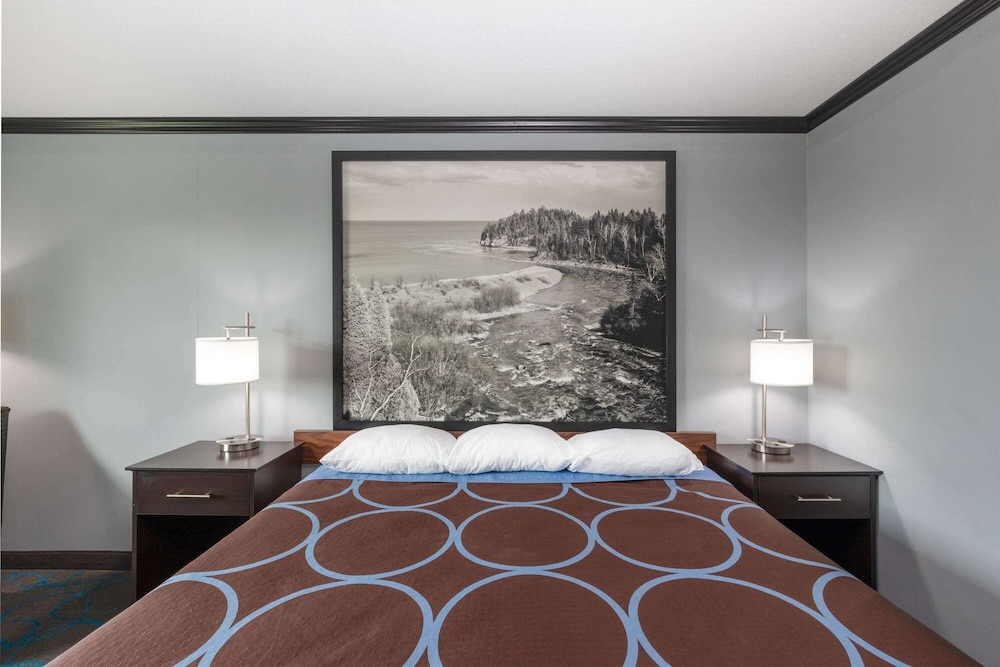 Room, 1 King Bed, Non Smoking (Pet Friendly) photo 3