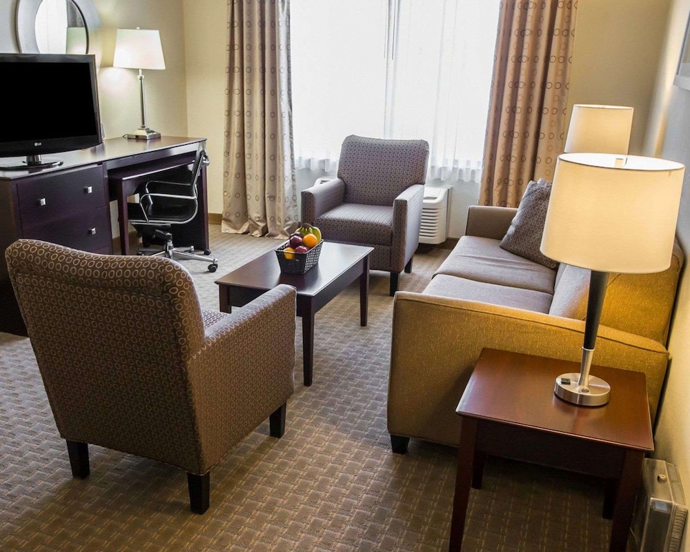 Suite, 1 King Bed with Sofa bed, Non Smoking (Upgrade) - Photo 1