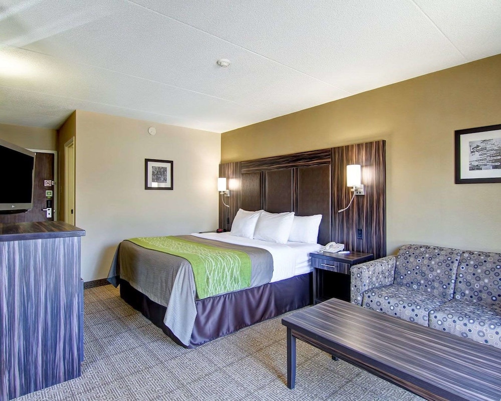 Standard Room, 1 King Bed, Non Smoking (No Pets Allowed) - Photo 1