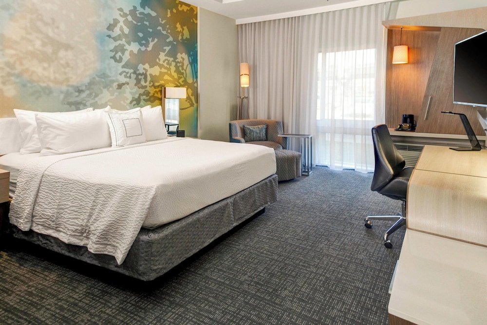 Room, 1 King Bed