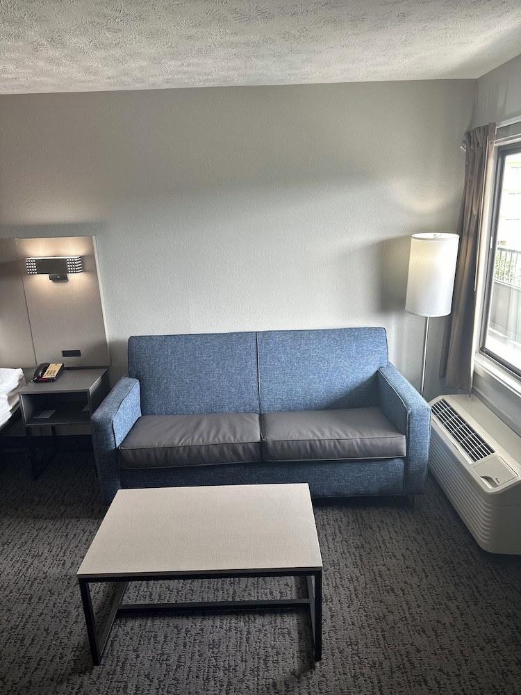 Suite, 1 King Bed with Sofa bed, Non Smoking - Photo 1