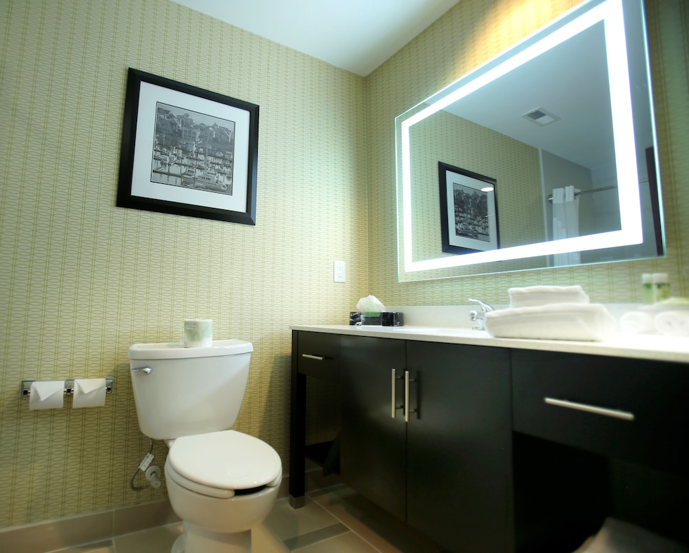 Suite, 1 King Bed (Additional Living Area) photo 3
