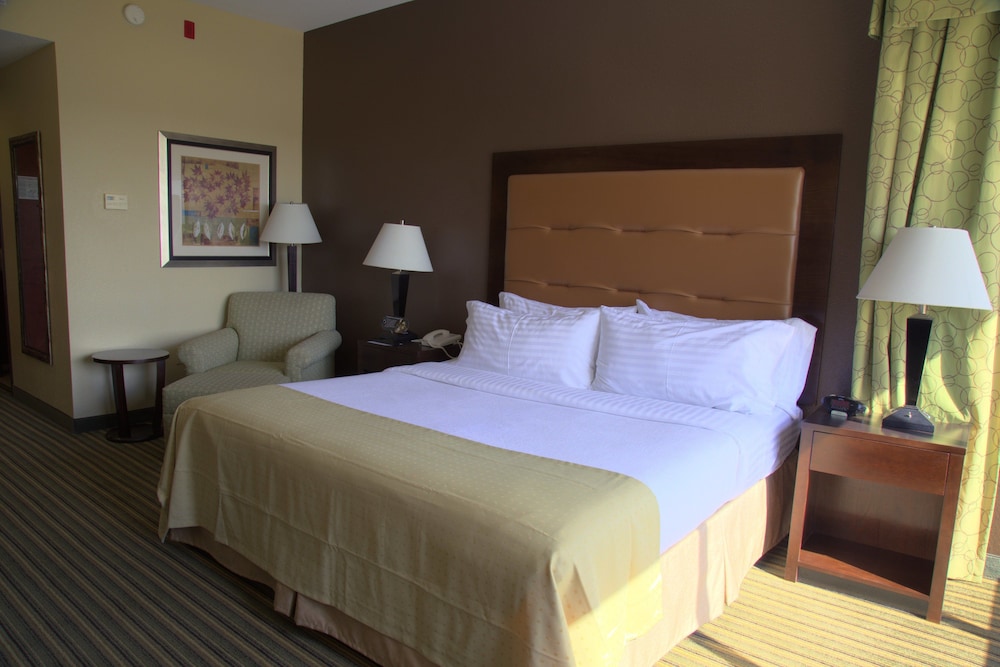 Standard Room, 1 King Bed, Accessible (Mobility Tub) - Photo 4