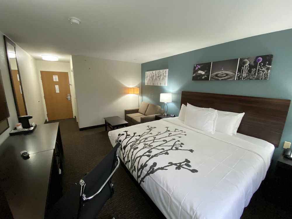 Room, 1 King Bed with Sofa bed, Non Smoking (Upgrade) - Photo 1
