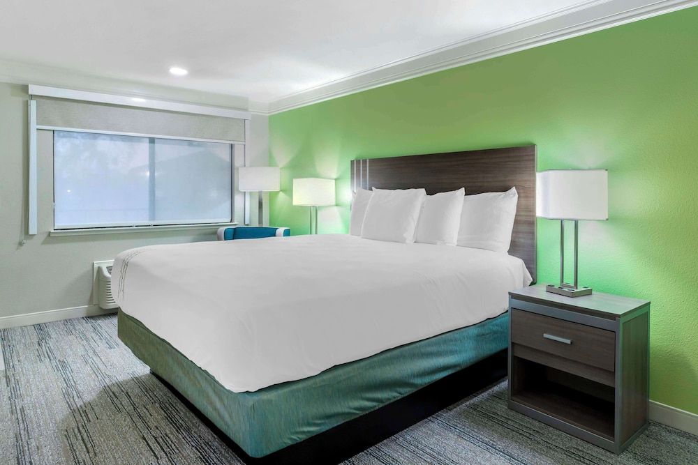 Standard Room, 1 King Bed, Accessible, Non Smoking photo 1
