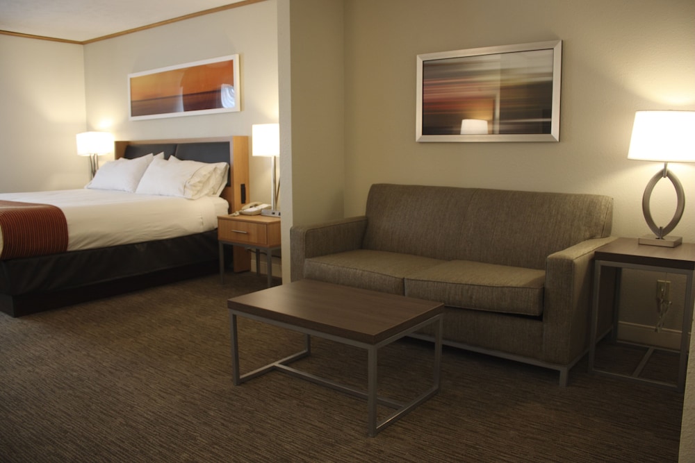 Standard Room, 1 King Bed, Accessible (Communication, Accessible Tub) - Photo 2