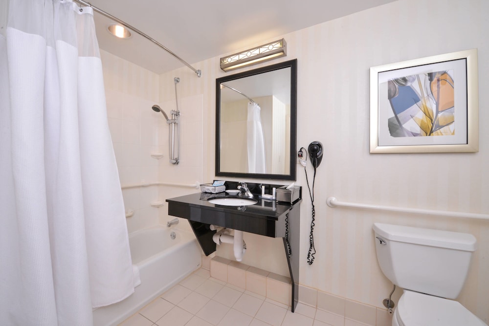 Suite, 1 King Bed photo 3