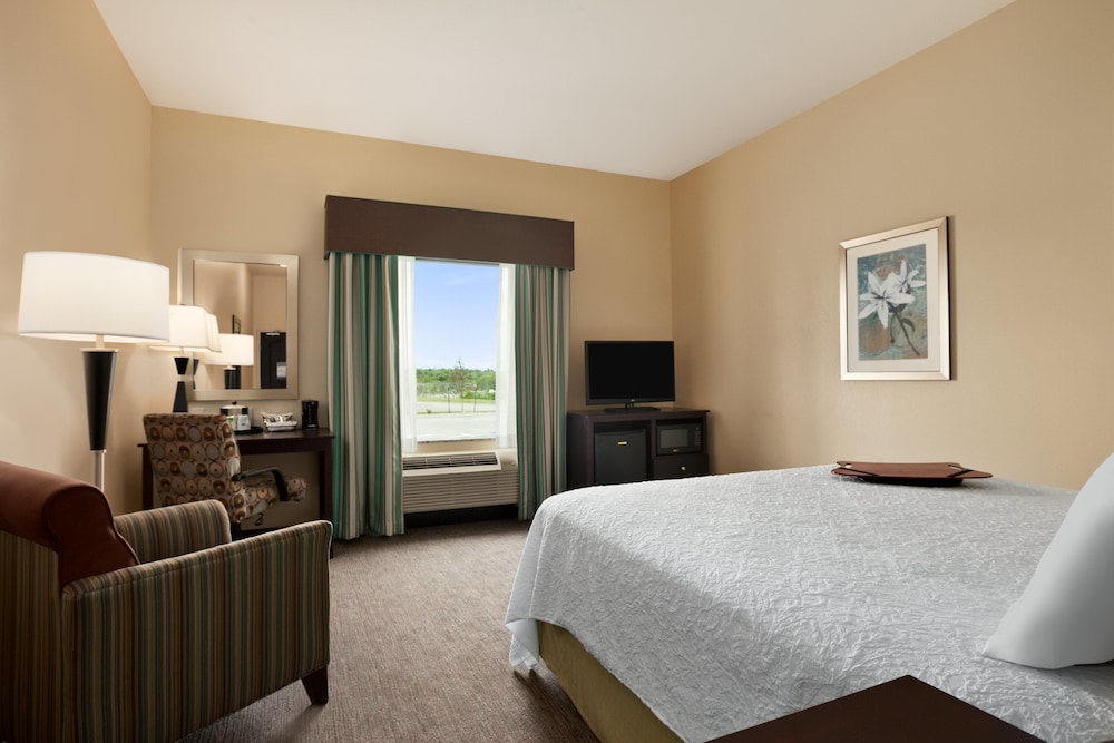 Room, 1 King Bed, Accessible (Mobility & Hearing, 3x3 Shower)