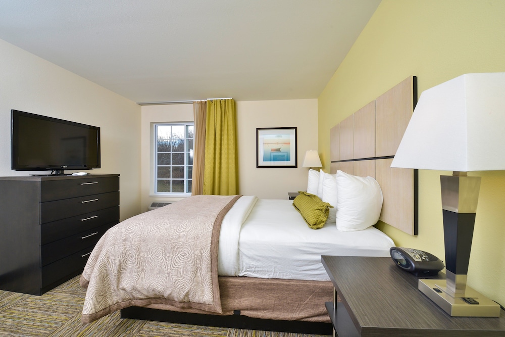 Studio Suite, 1 Queen Bed photo 1