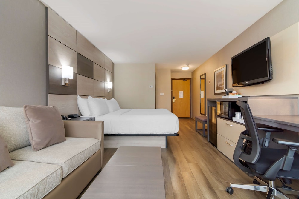 Standard Room, 1 King Bed, Refrigerator & Microwave, Mountain View (with Sofabed) - Photo 4