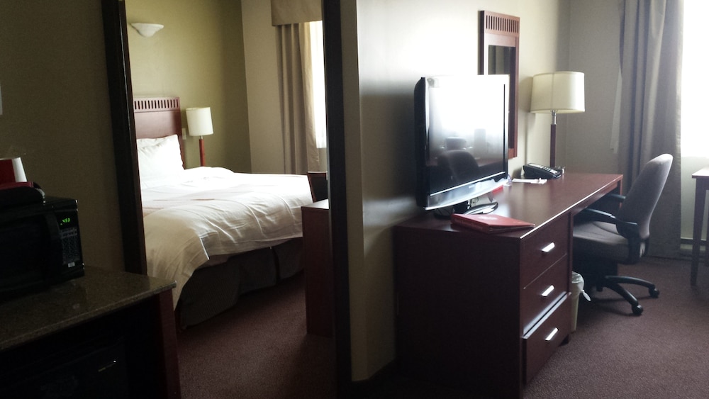 Suite, 1 Bedroom photo 3