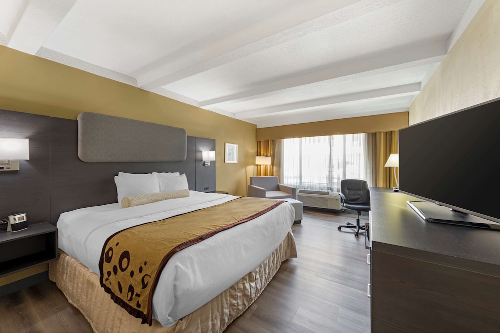 Standard Room, 1 King Bed, Accessible, Refrigerator & Microwave photo 1