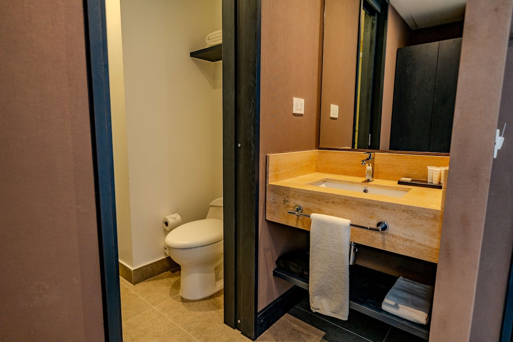 Business Room, 1 Queen Bed, Accessible - Photo 20