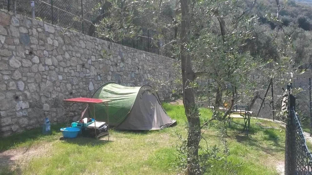 Empty lot (This empty spot has space for a tent, a car or a caravan) photo 3