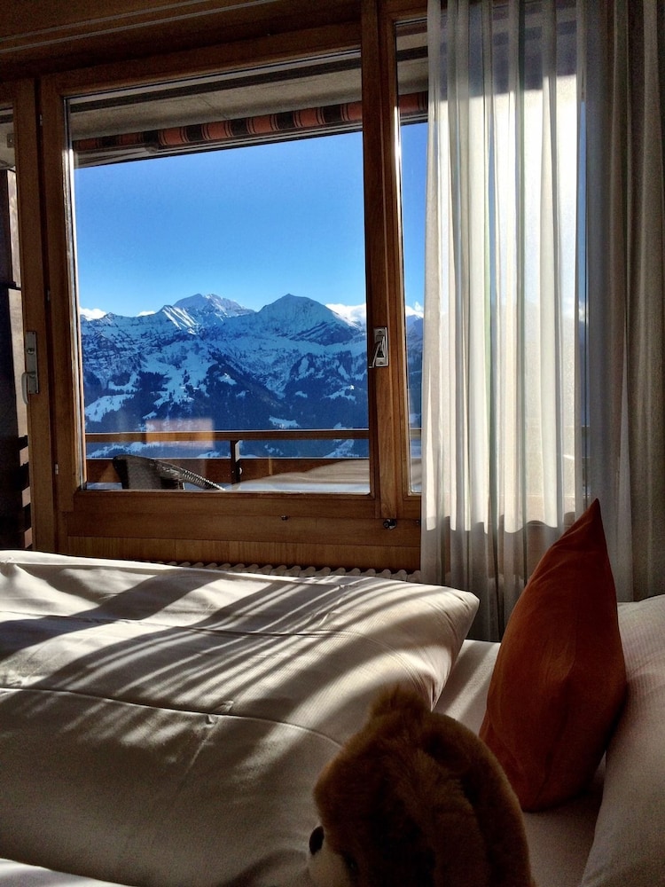 Deluxe Single Room, Balcony (Lake & Mountain View) photo 2